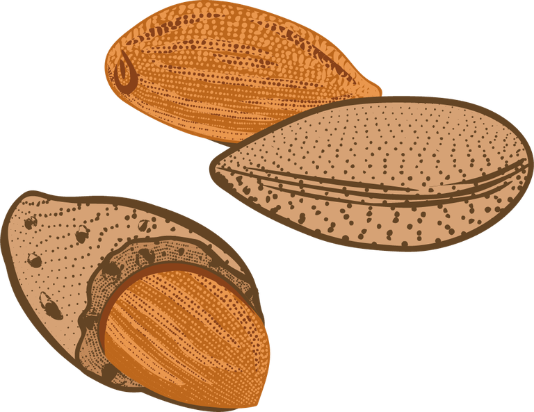 colorful natural organic nuts collection for healthy snacking and culinary delights
