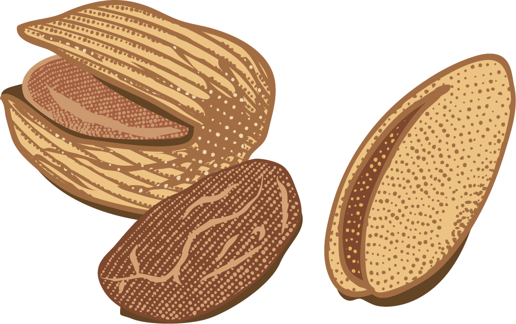 colorful natural organic nuts collection showcasing healthy snacks for diverse culinary uses