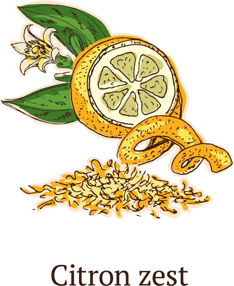 colorful sketch healthy spices collection featuring vibrant citron zest with fresh leaves and flower