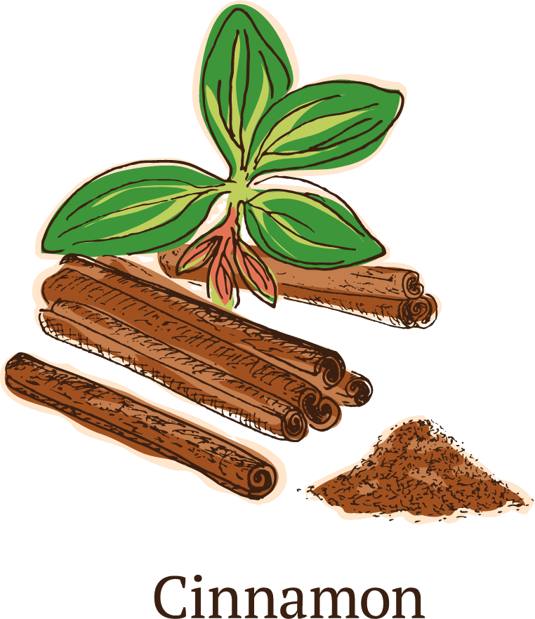 colorful sketch healthy spices collection featuring vibrant cinnamon with unique textures and details