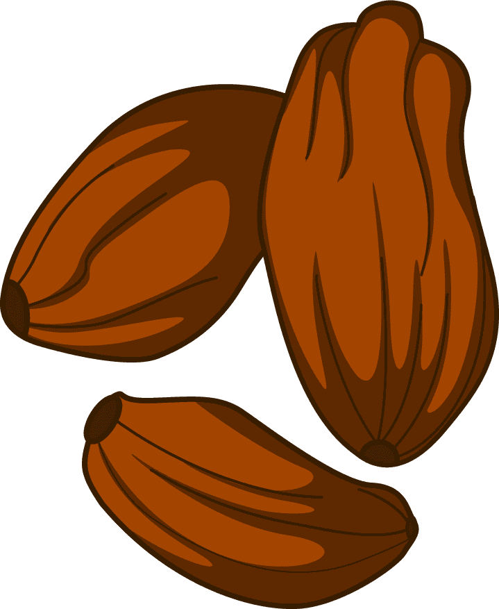 cooking seasoning material featuring rich cocoa beans for flavorful culinary creations