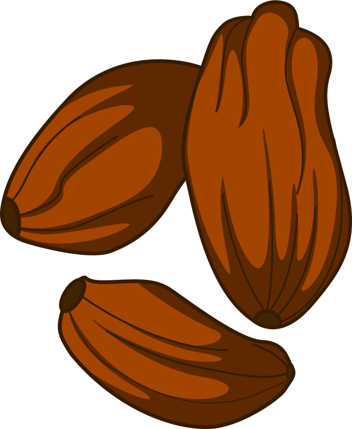 cooking seasoning material featuring rich cocoa beans for flavorful culinary creations