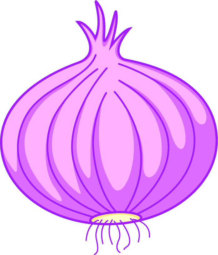 cooking seasoning material featuring vibrant purple onion for flavorful dishes and home kitchens
