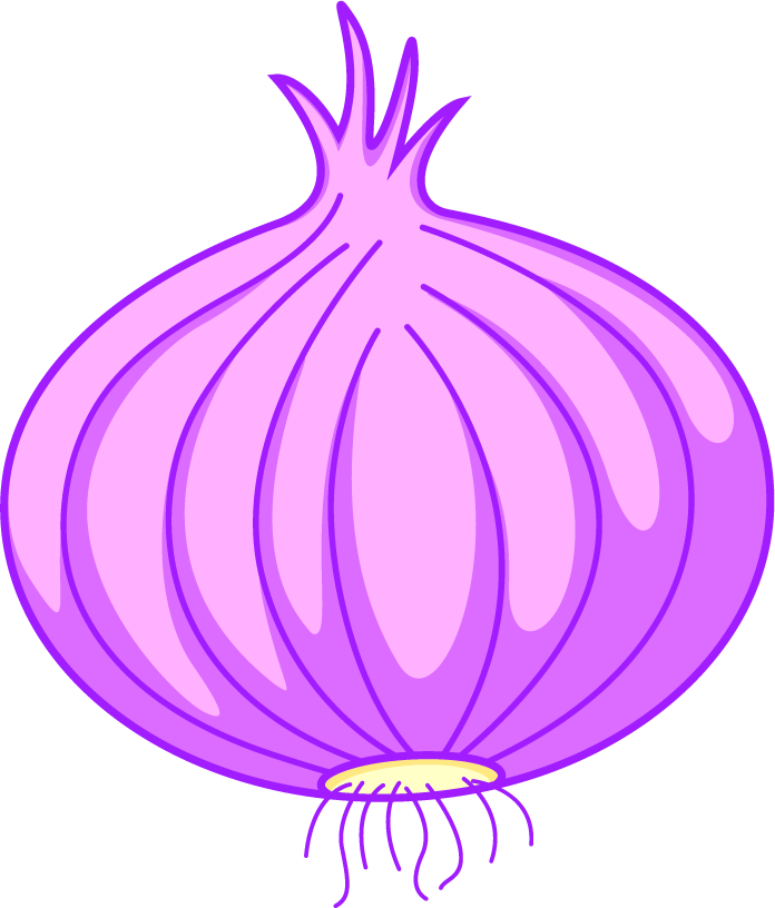 cooking seasoning material featuring vibrant purple onion for flavorful dishes and home kitchens