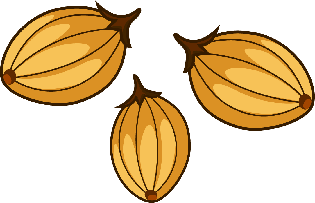 cooking seasoning material featuring flavorful cardamom pods for culinary enhancement