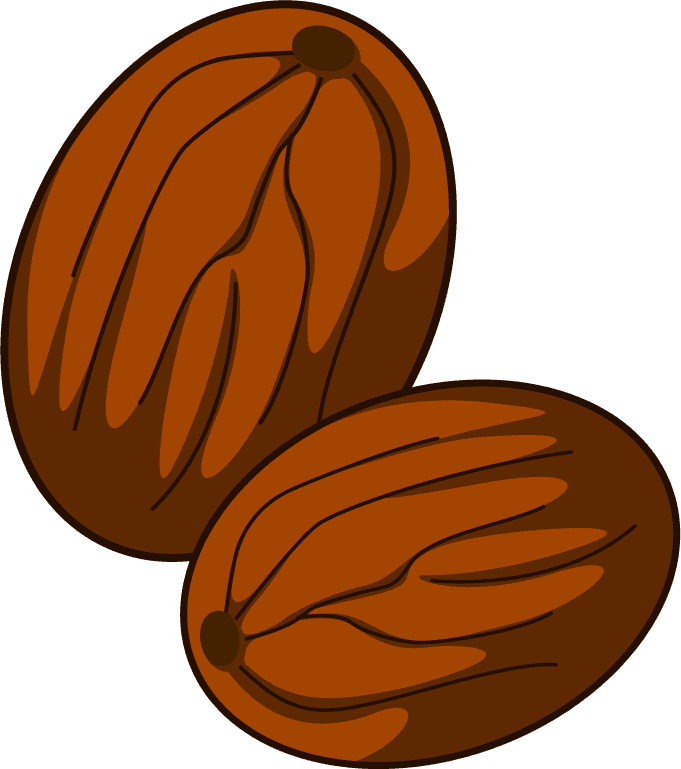 cooking seasoning material featuring realistic nut illustrations for culinary delights