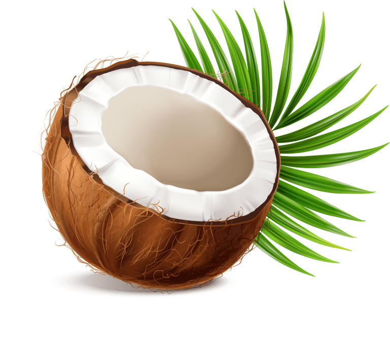 copra coconut realistic set with nut segments flesh pieces jar milk powder dry flakes palm leaves