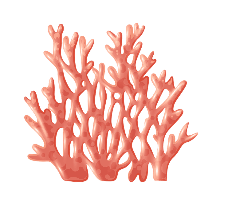 coral seashell realistic set