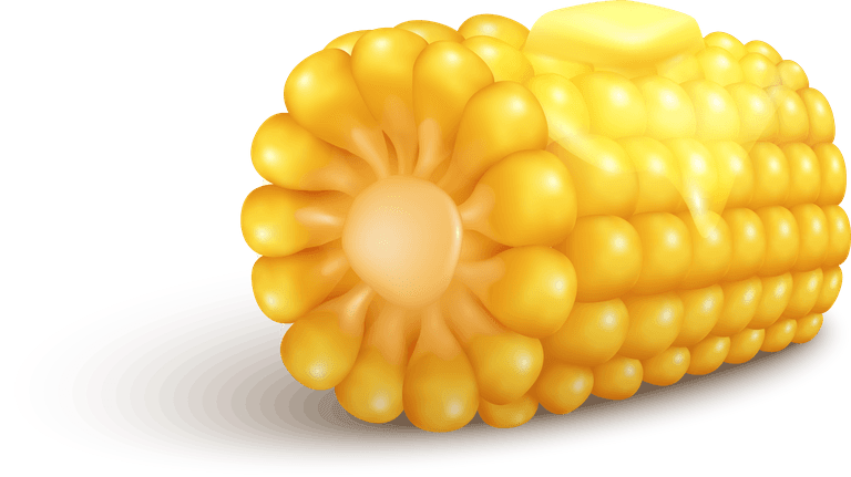 Corn corn realistic set