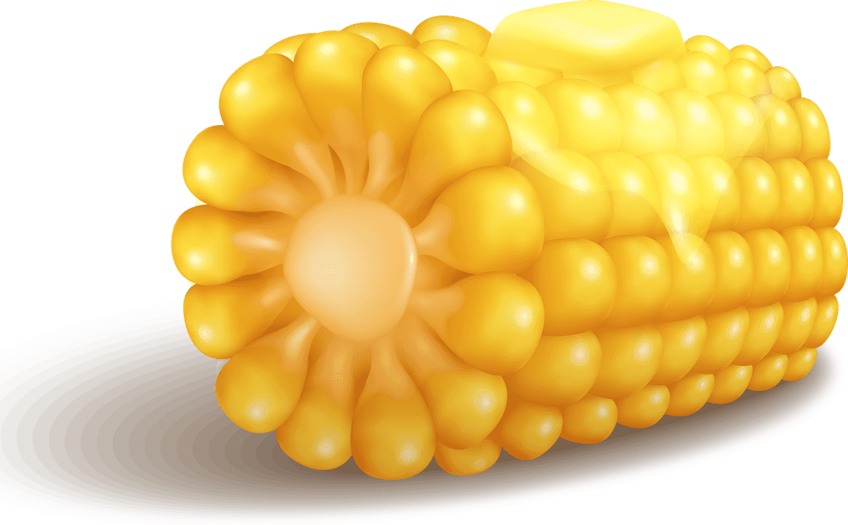 Corn corn realistic set