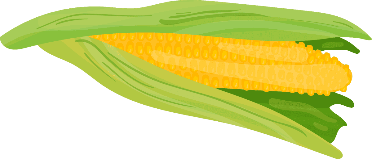 corn vegetables herbs collection with vibrant colors and fresh appeal for culinary use