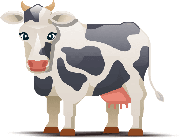 cows cows different colors white background spotted cow illustration