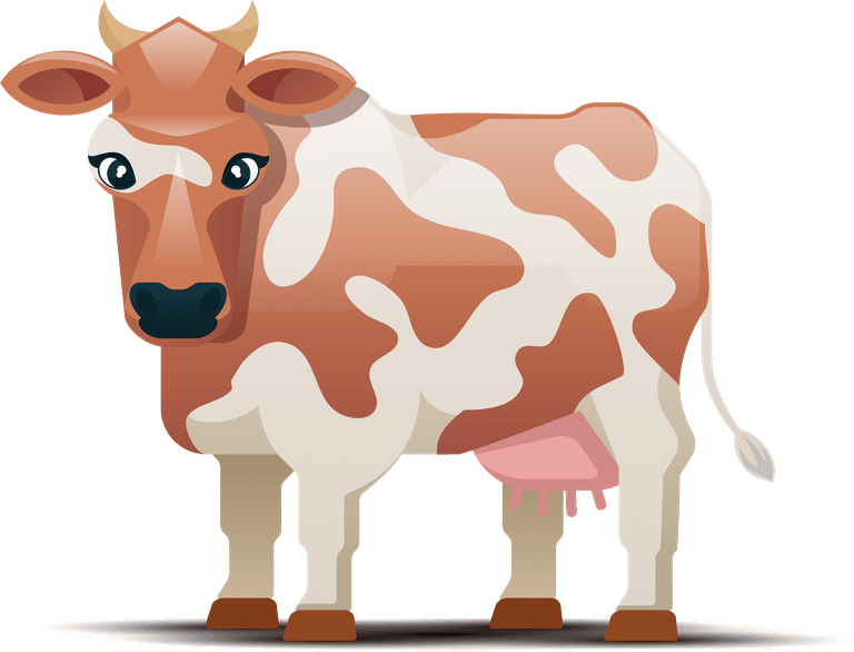 cows cows different colors white background spotted cow illustration