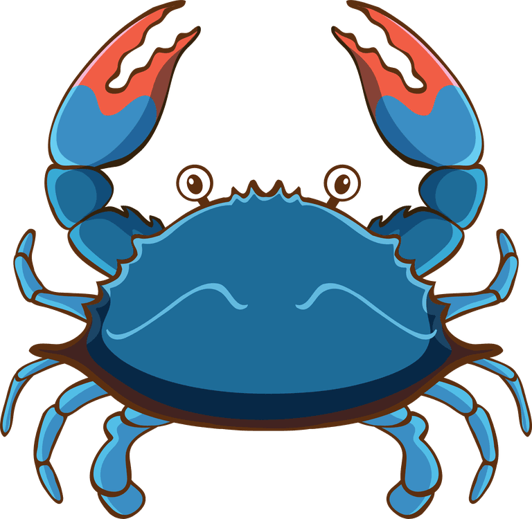 crab large set different food other items white background