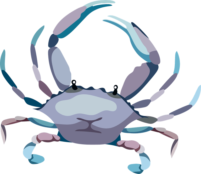 crab marine elements classical sea animals plant sketch