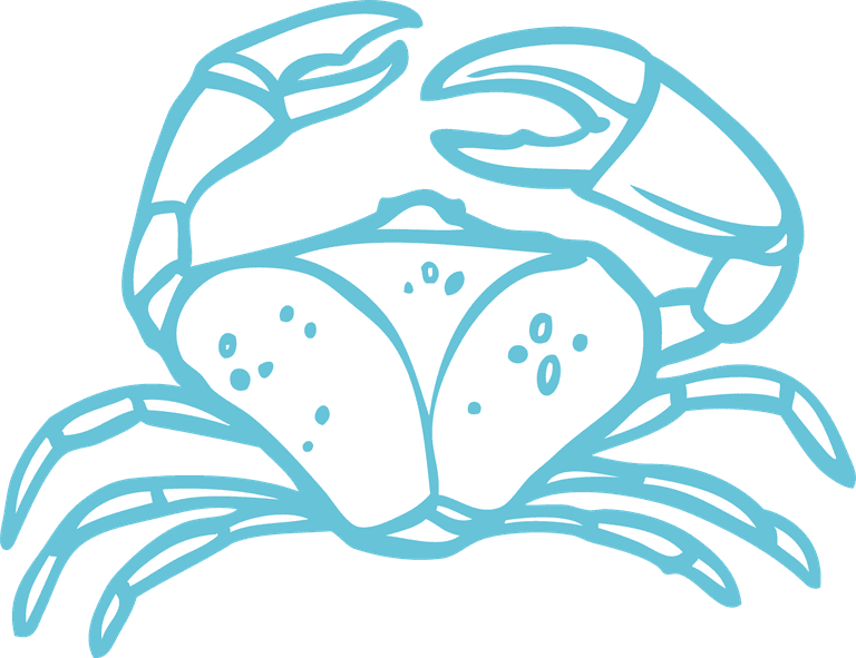crab marine sketch set