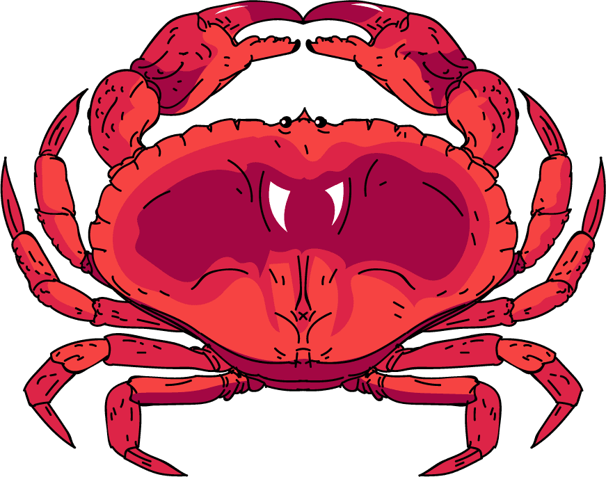 crab sea fish species icons colorful modern 