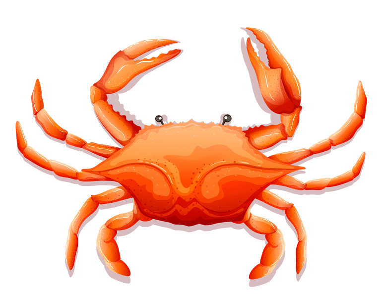 crab different kinds of seafood illustration