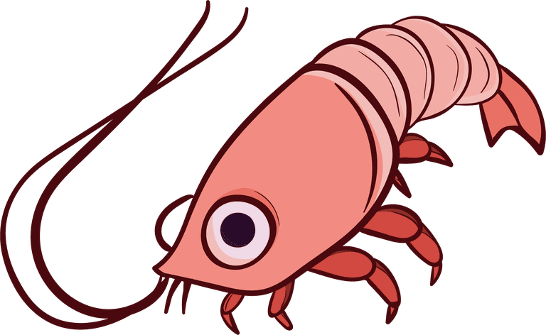 crawfish cartoon shrimp prawn seafood vector