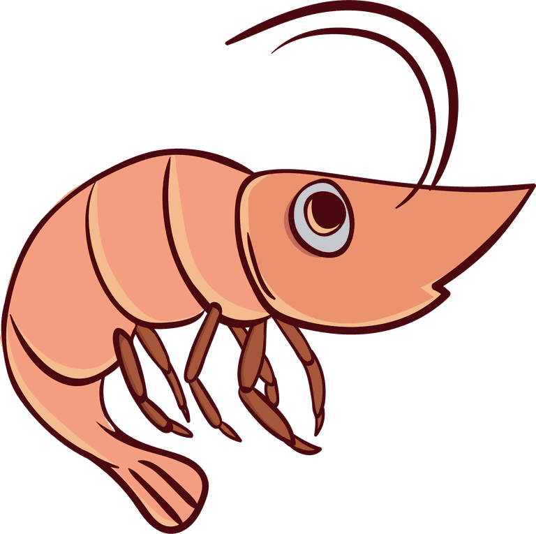 crawfish cartoon shrimp prawn seafood vector