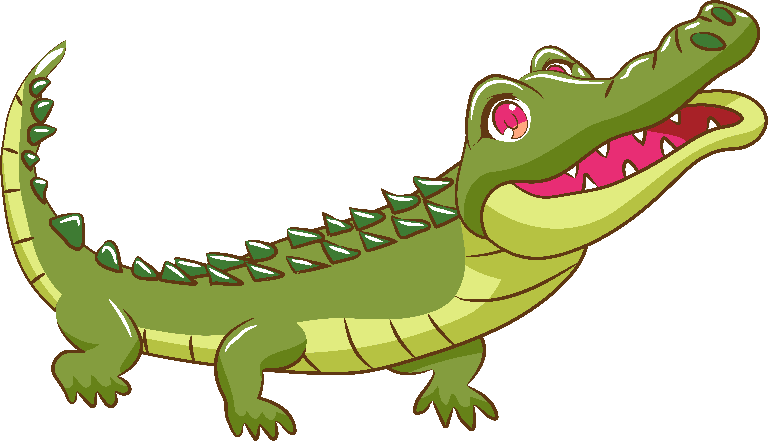 crocodile green cartoon crocodiles isolated on white background
