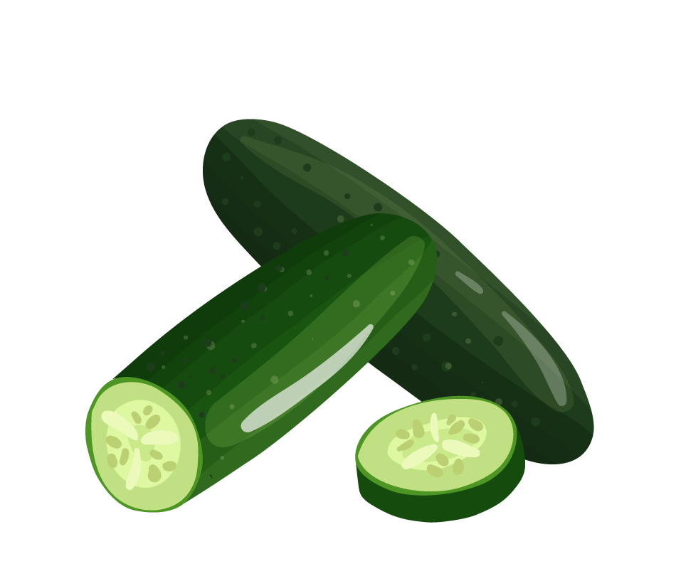 cucumber vegetables herbs collection with fresh green cucumbers and sliced pieces