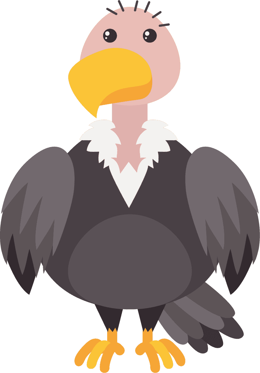 funny and cute animal characters featuring a vibrant and playful vulture design for kids