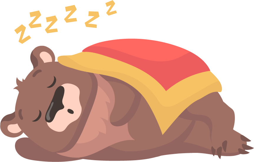 cute brown bear cute teddy bear set