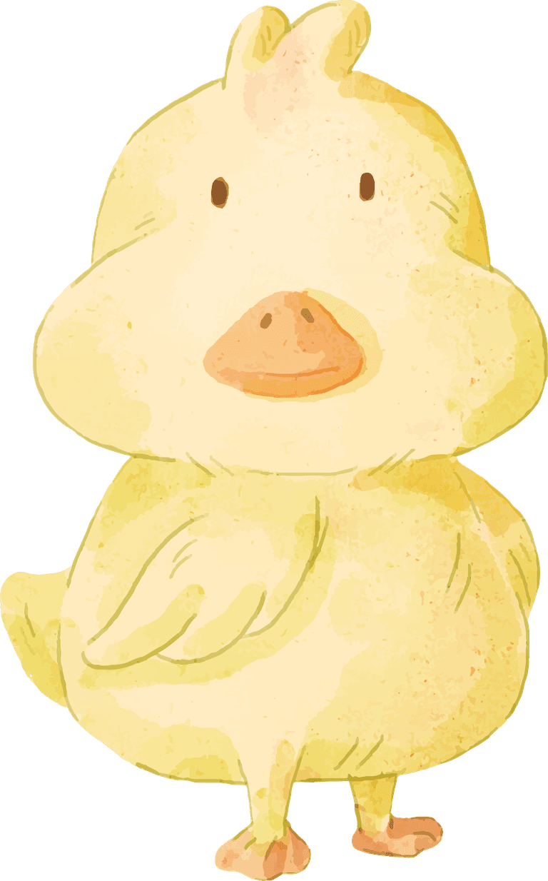 cute duck illustration watercolor set of adorable duck for your