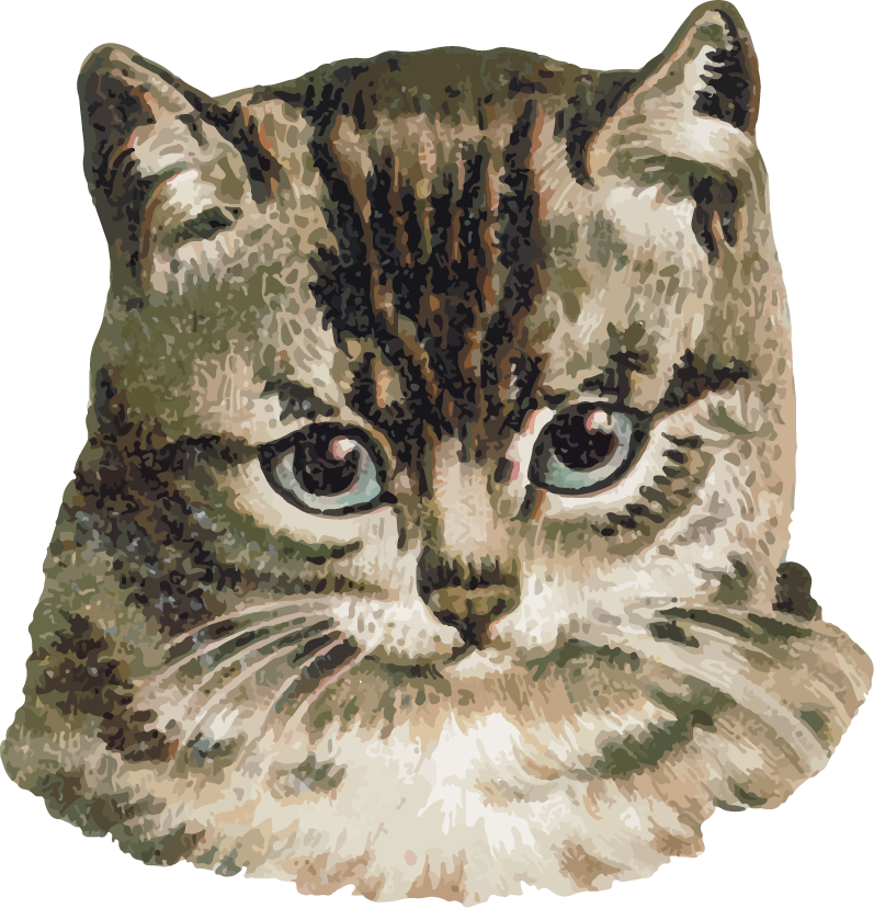 cute feminine stickers pack featuring adorable kitten illustrations for personal use