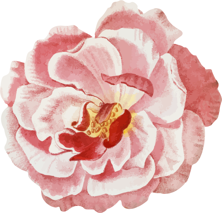 cute feminine stickers pack featuring exquisite floral designs for journaling and crafting
