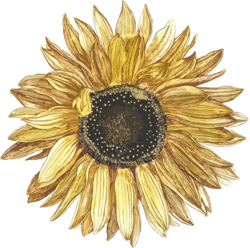 cute feminine stickers pack featuring whimsical sunflower designs for planners and crafts