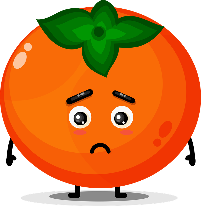 cute persimmon mascot with cartoon style