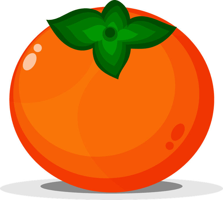 cute persimmon mascot with cartoon style