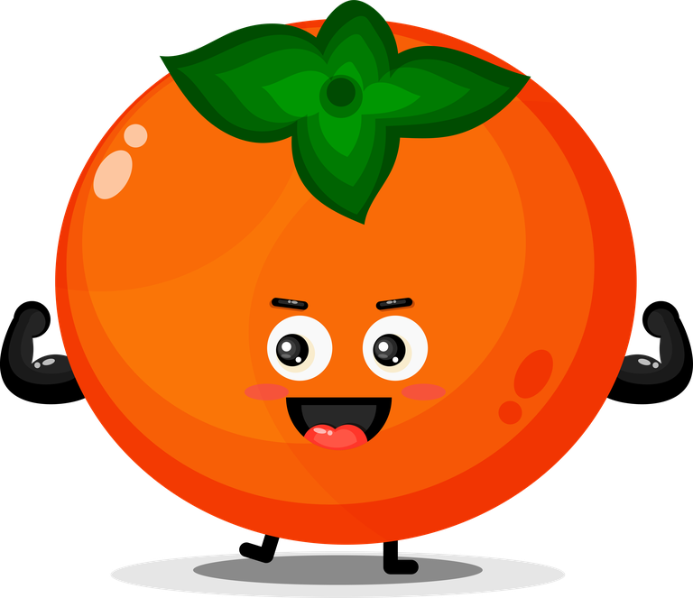 cute persimmon mascot with cartoon style