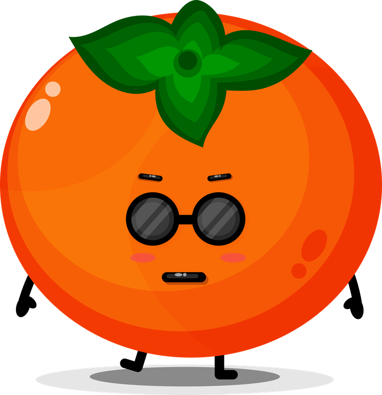 cute persimmon mascot with cartoon style