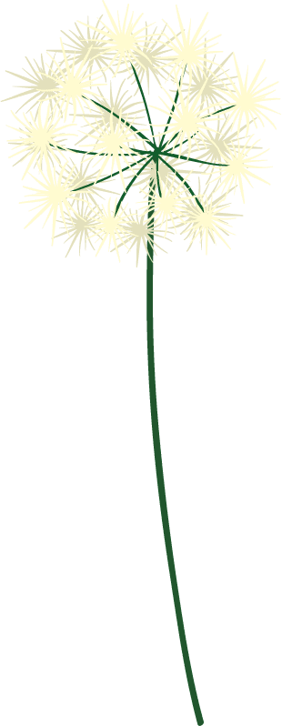 dandelion background scene with nature theme