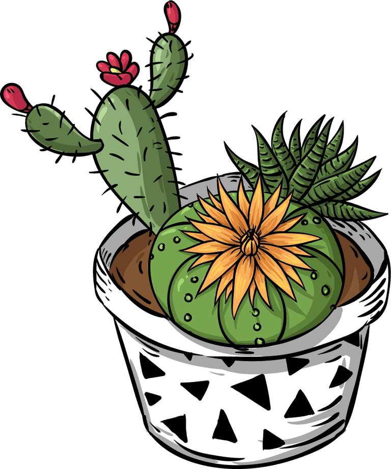 decorative cactus pot icons classical colorful handdrawn sketch