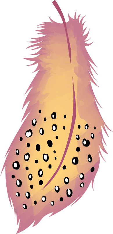 decorative feathers icons colorful retro handdrawn