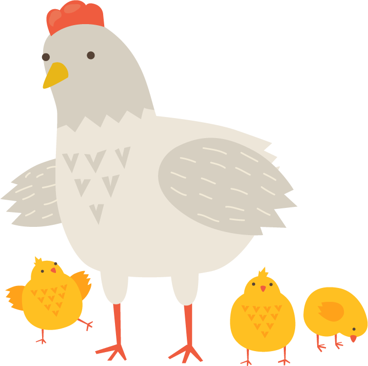 cute hens chicken family with adorable chicks for playful designs and illustrations
