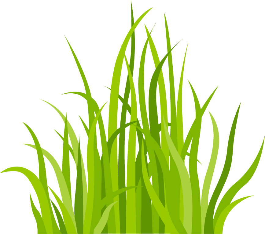 decorative green grass pattern