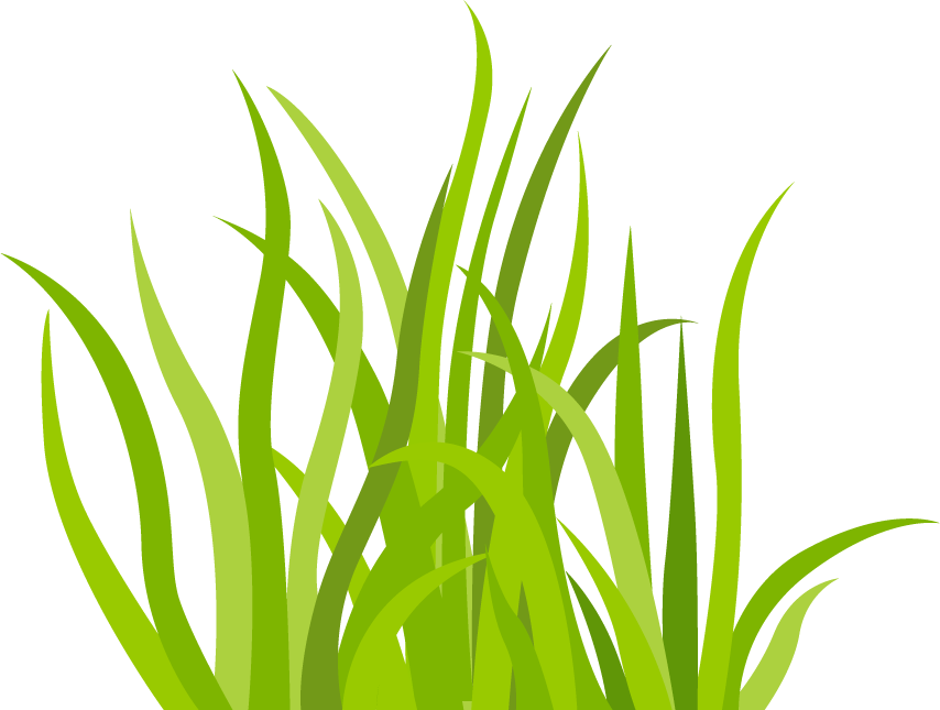 decorative green grass pattern for vibrant backgrounds and nature-themed projects