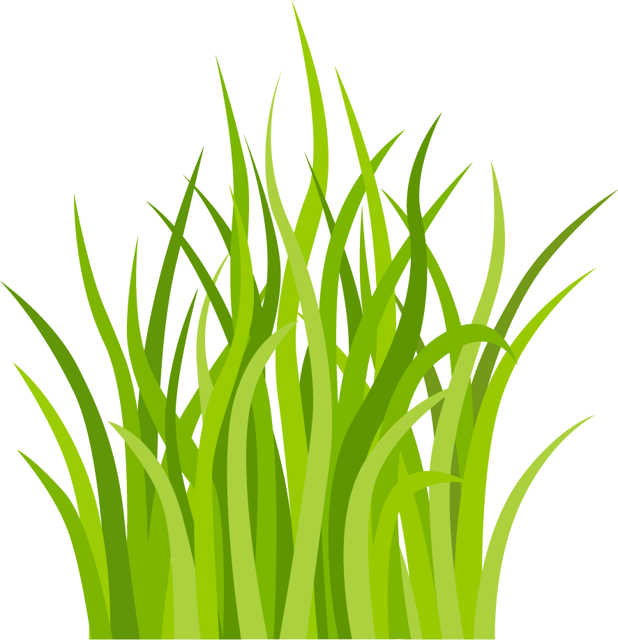 decorative green grass pattern for nature-themed projects and backgrounds