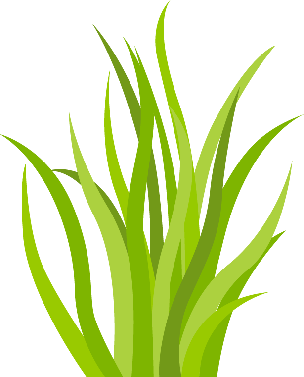 decorative green grass pattern for vibrant backgrounds and natural-themed projects