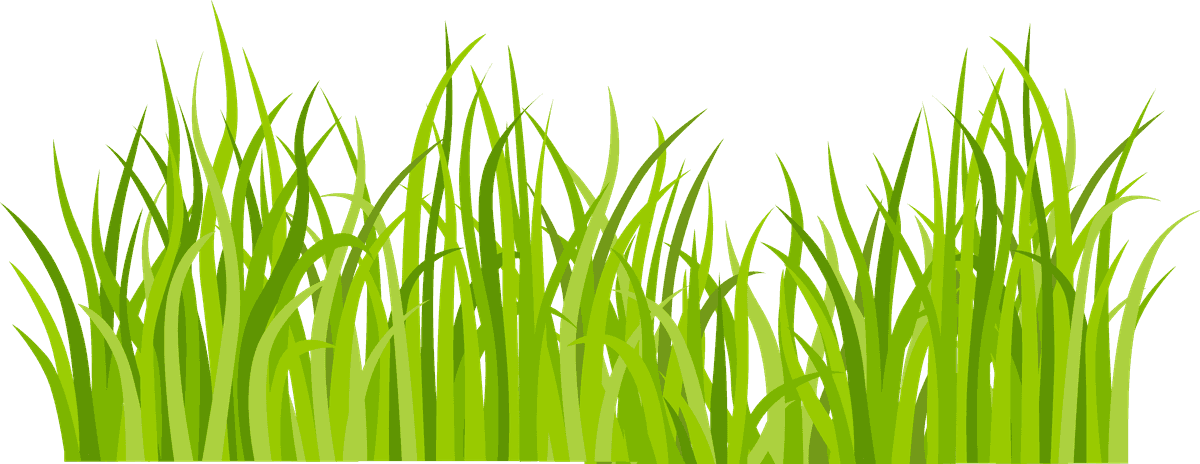 decorative green grass pattern for backgrounds, nature themes, and landscape presentations