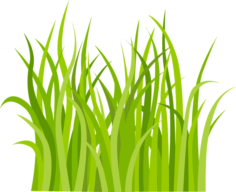 decorative green grass pattern