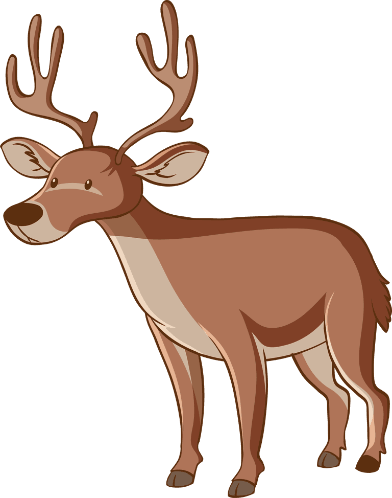 deer large wildlife with many types of animals illustration