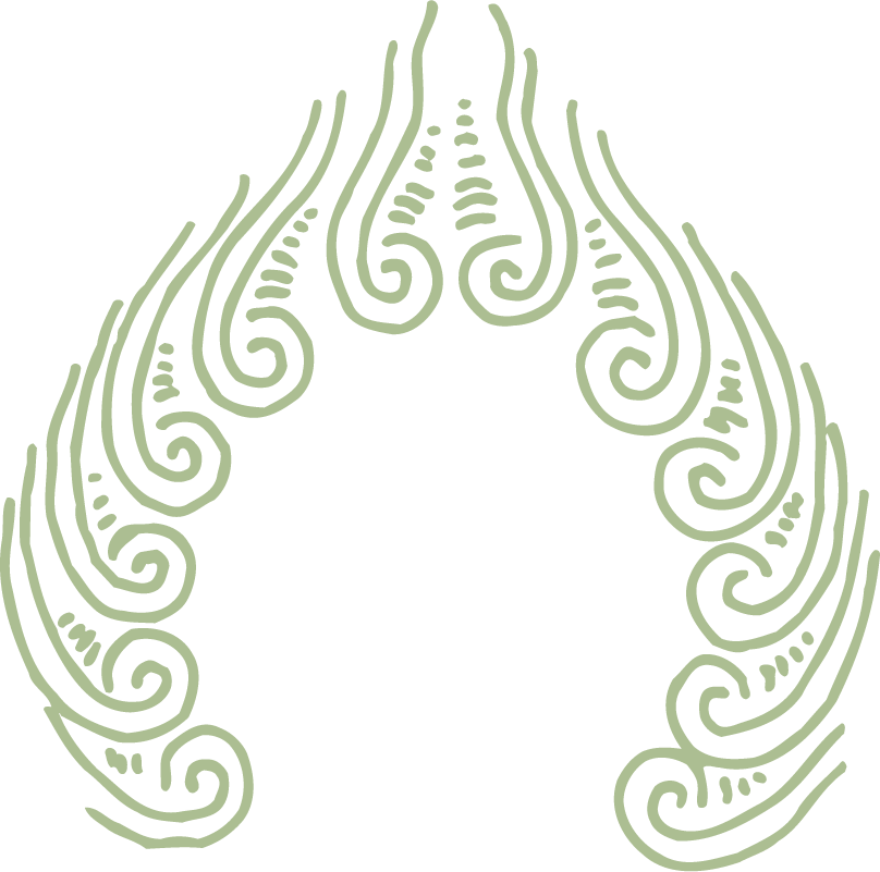 detailed pattern classical pattern vector in elegant swirling motifs for sophisticated decoration purposes