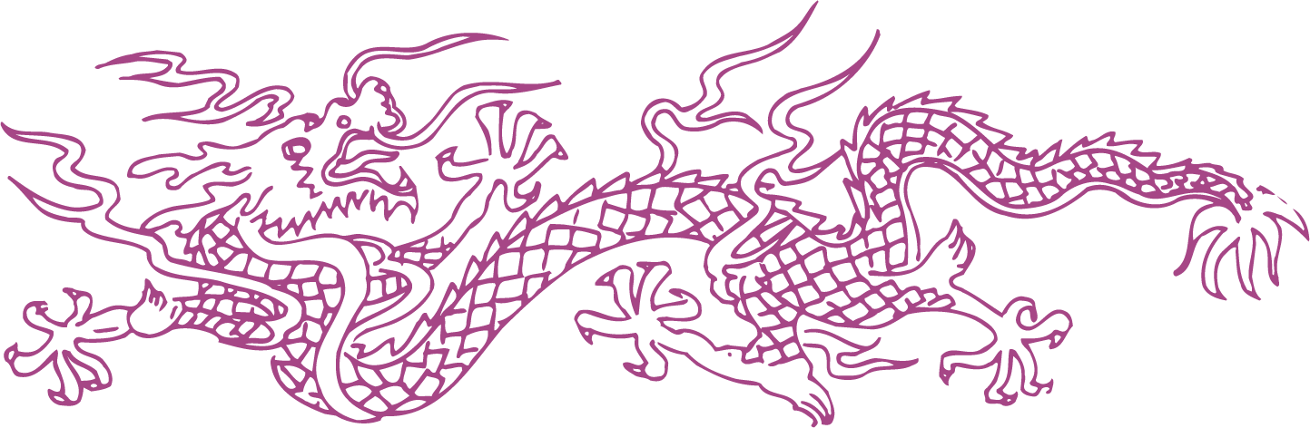 detailed pattern classical pattern vector with intricate dragon design for cultural artwork