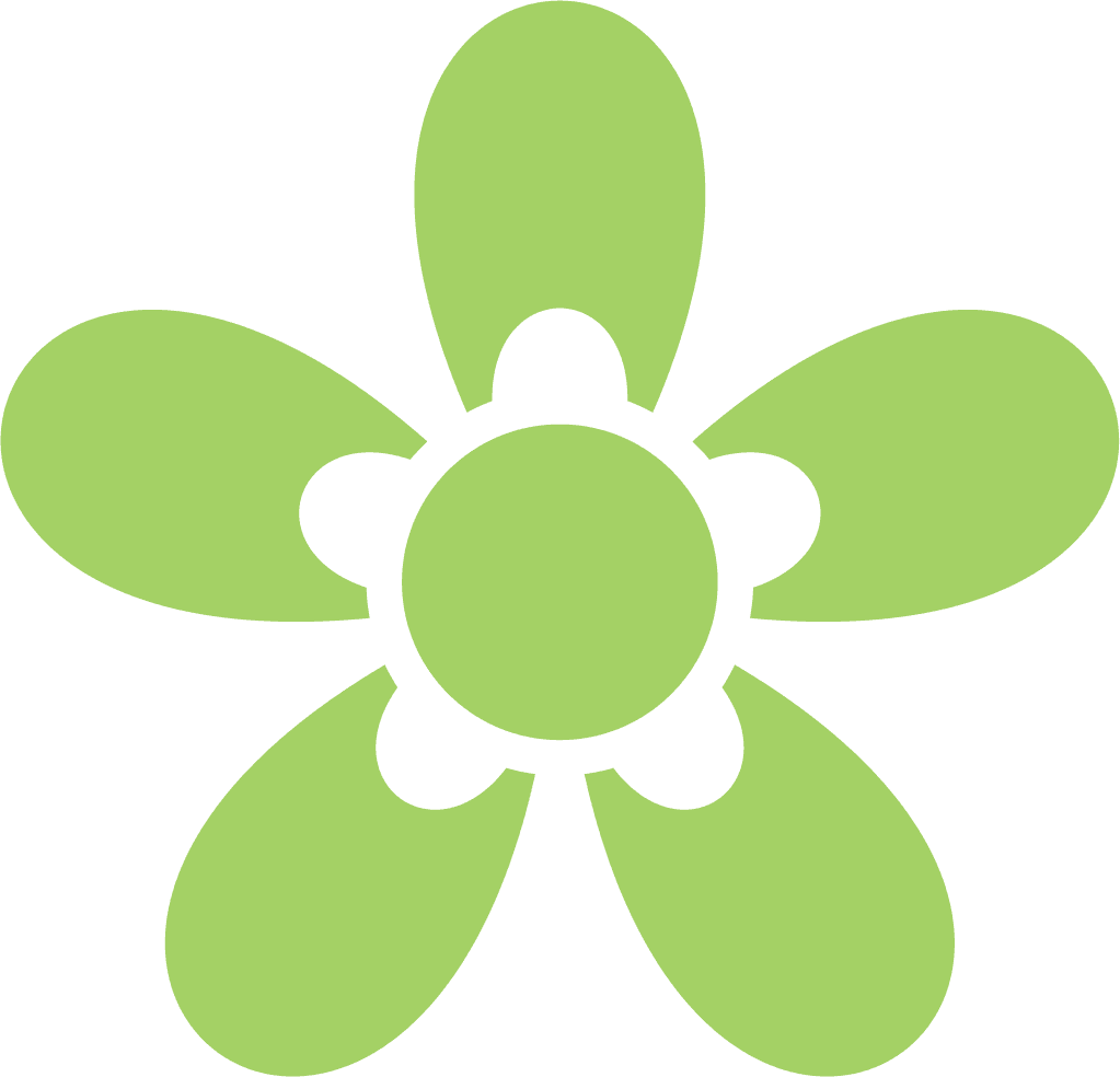 different flat styled isolated colored flowers